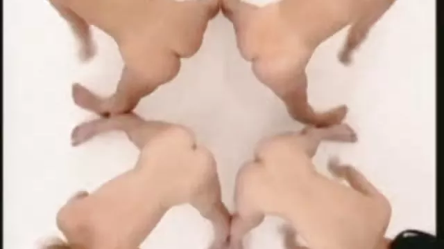 مشق شب ویدیو سکس رایگان برای شلخته مقعد